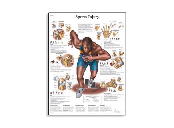 Plakat Sportsskader 50x67 cm Laminert